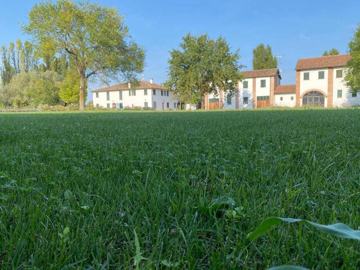 Agriturismo per 2 persone, con giardino e panorama nonché piscina, con animali domestici in Provincia di Rovigo
