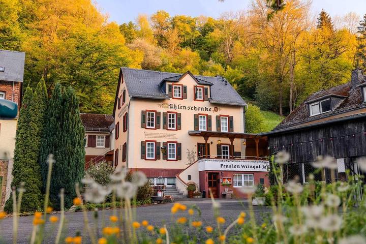 Ferienhaus für 22 Personen, mit Pool und Sauna sowie Whirlpool und Garten, mit Haustier in Sankt Goar - 3