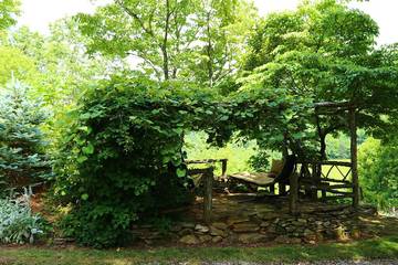 Glamping for 2 Guests in Buncombe County, Picture 1