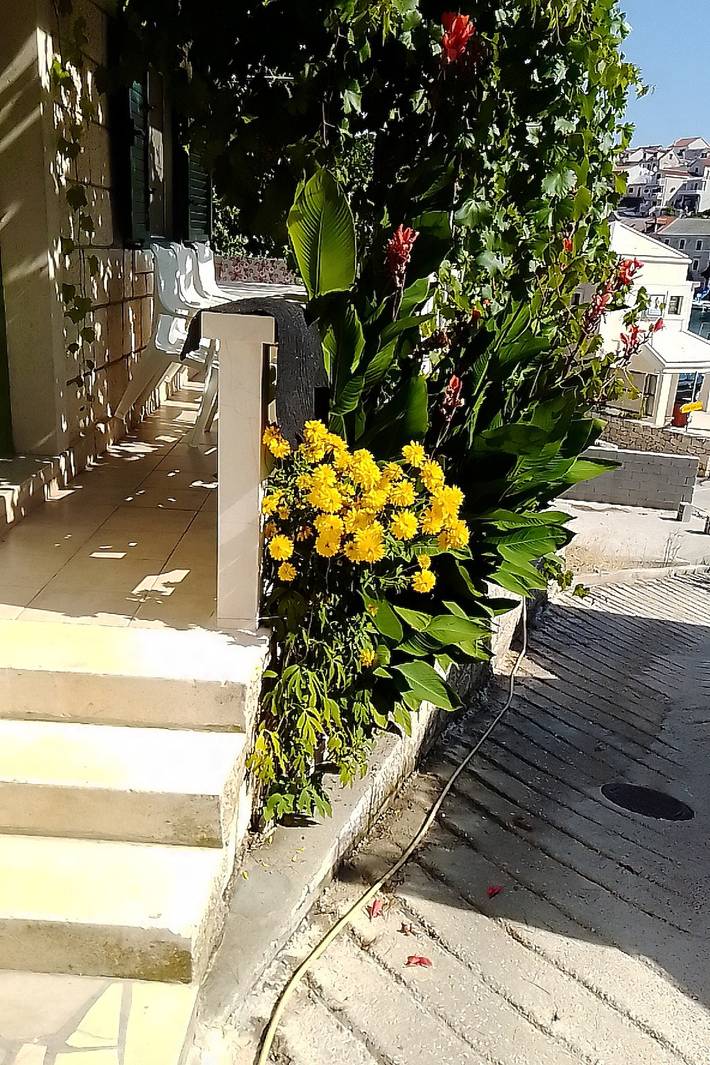 Ganze Wohnung, 2-Zimmer-Ferienwohnung mit Terrasse und Meerblick Povlja, Brac A-712-a in Povlja, Brac