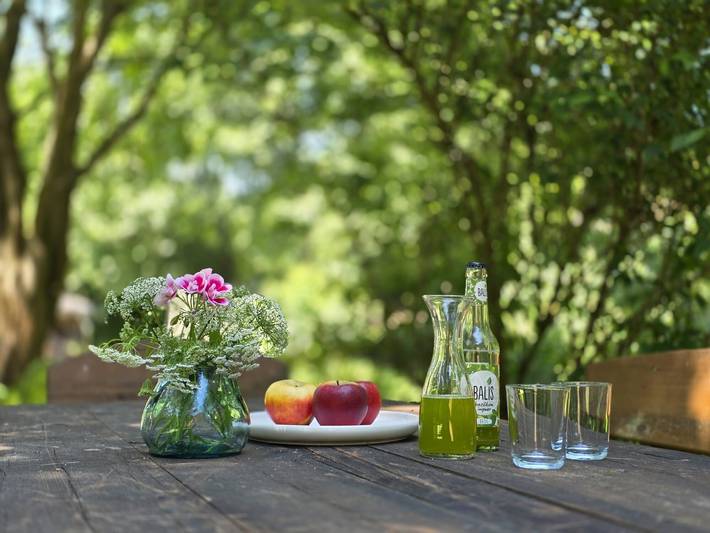 Entire apartment, Apartment "Schwarzmühle 3" with Lake View, Private Garden and Wi-Fi in Börnichen, Ore Mountains