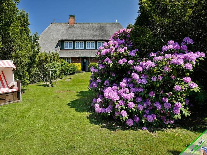Ferienhaus für 4 Personen, mit Garten und Terrasse, mit Haustier - 1