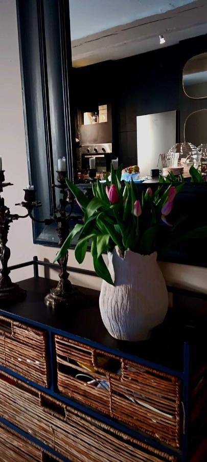 Chambre d’hôte pour 2 personnes, avec terrasse à Aigues-Mortes - 2