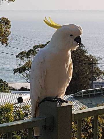 Holiday Home for 6 People in Hyams Beach, Jervis Bay, Photo 1