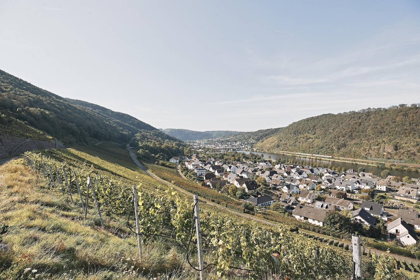 Entire holiday apartment, Appartement Burgberg in Alken, Osteifel