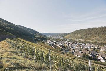 Ferienwohnung für 4 Personen in Alken, Osteifel, Bild 1