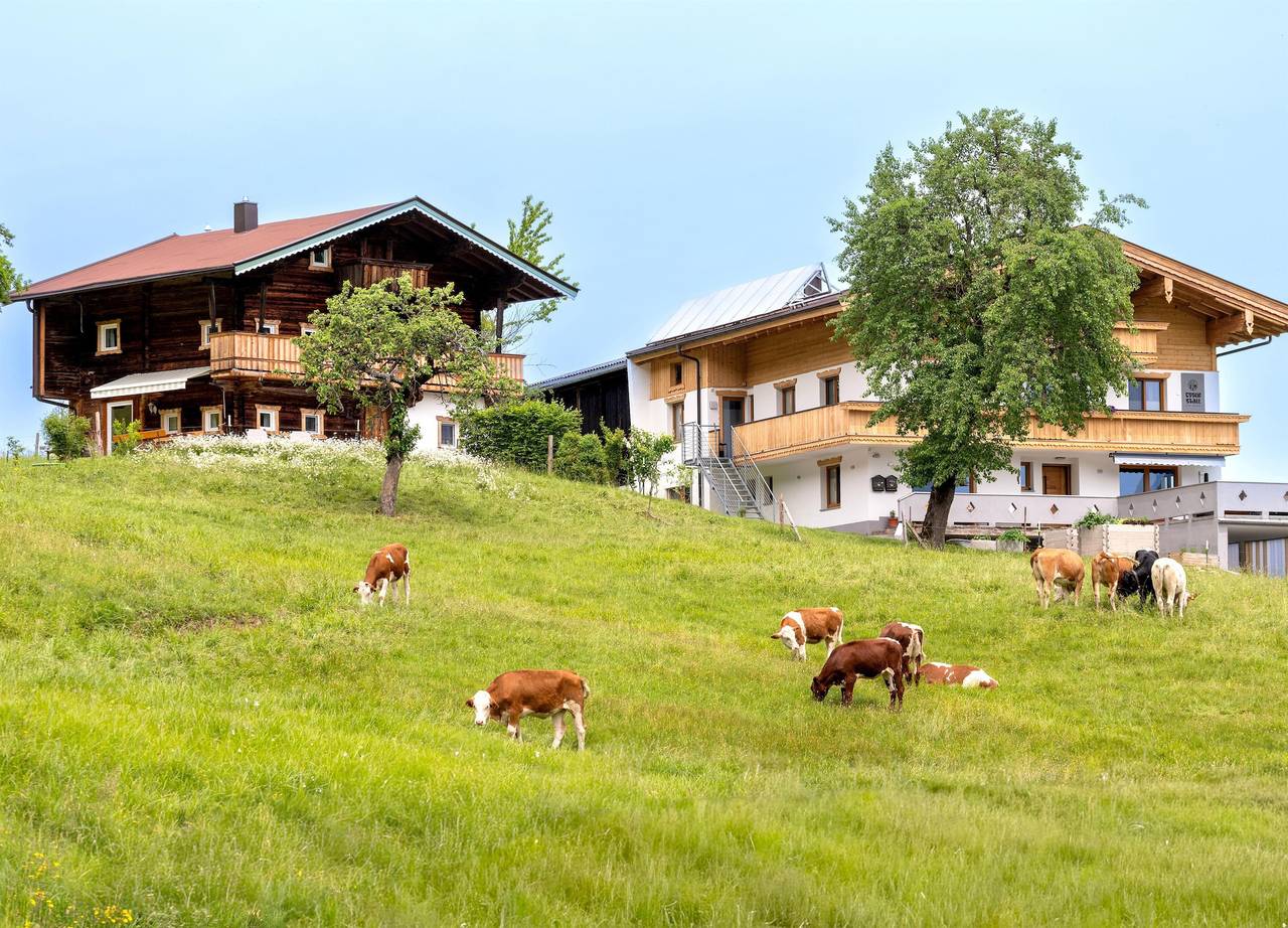 Ganze Ferienwohnung, Hütte für bis zu 6 Personen in Fieberbrunn, Bezirk Kitzbühel