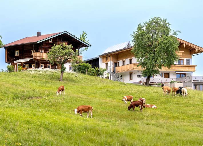 Ferienwohnung für 6 Personen, mit Terrasse und Garten in Saalbach-Hinterglemm-Leogang - 2