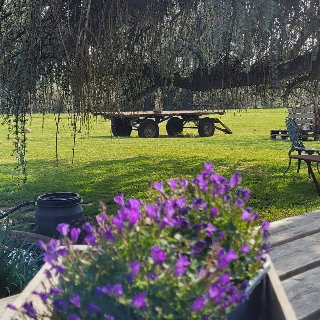 Maison Prairie Bonheur - Chambre Soleil in Magny-les-Hameaux, Parc naturel régional de la Haute Vallée de Chevreuse