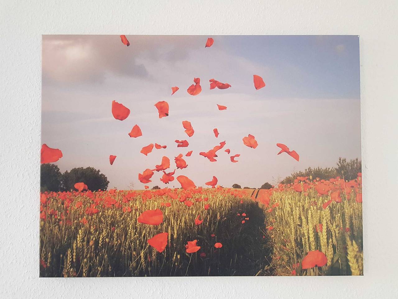 Ganze Ferienwohnung, Ferienwohnungen am Stadtpark - Ferienwohnung am in Wittenberg, Wittenberg (Landekris)