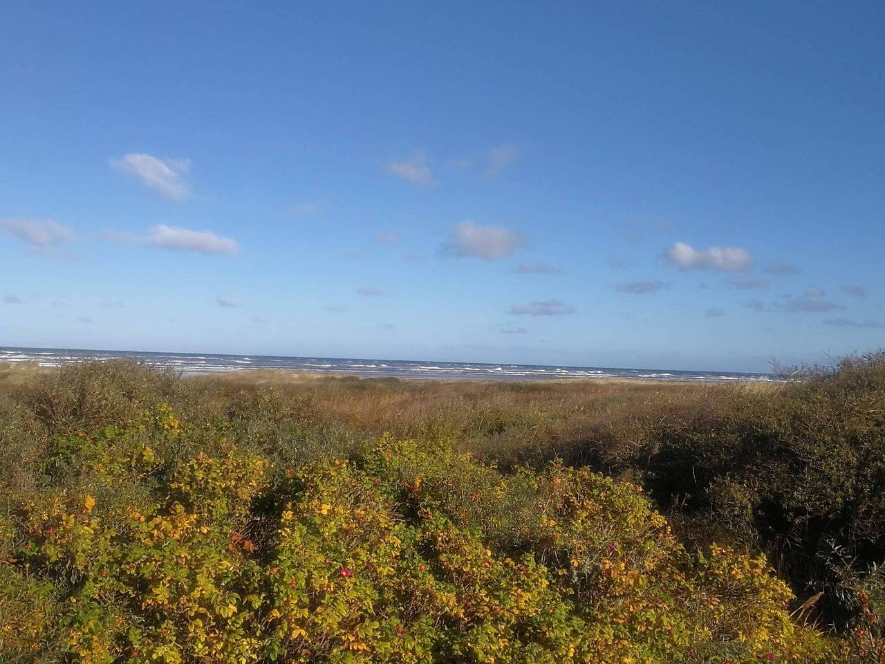 Kustenhafen Ruckzug -- By Traum Ferienwohnungen in Skiveren, Tannisbucht