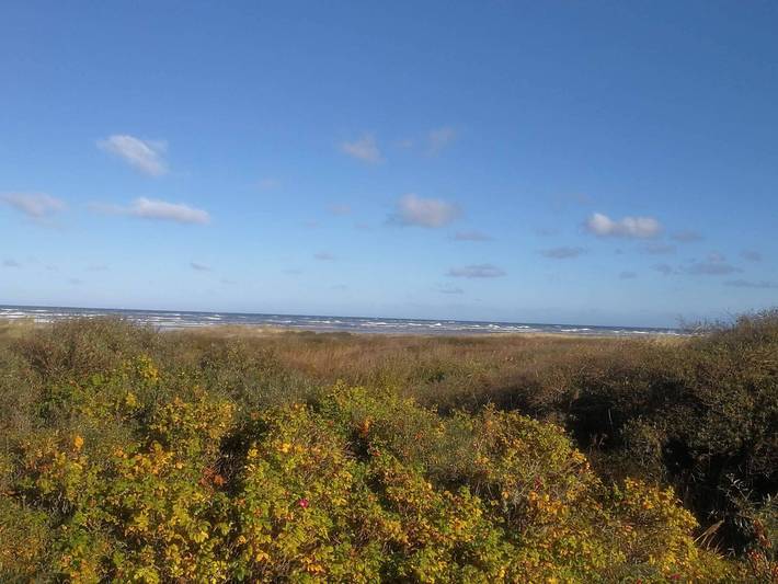 Ferienhaus für 8 Personen, mit Pool und Terrasse in Aalbæk - 4