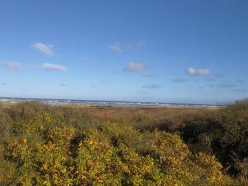 Feriehus til 8 Personer i Ålbæk, Tannisbucht, Bilde 3