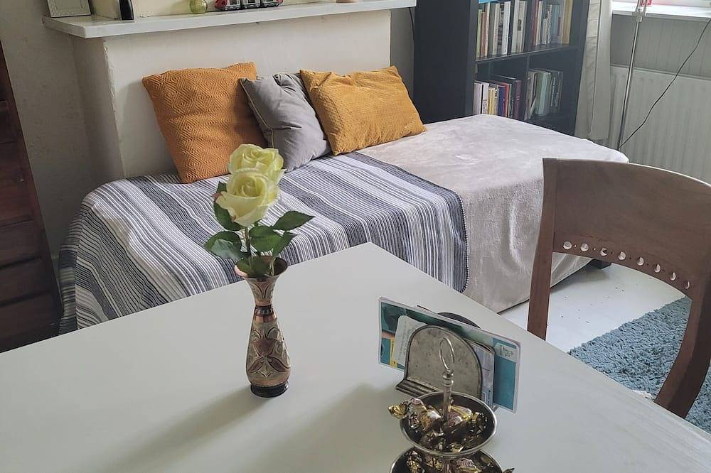 Geheel appartement, Knus schrijvershuisje vlakbij Ahoy in Rotterdam, Zuid-Holland