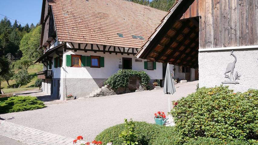 Gîte pour 4 personnes, avec jardin, animaux acceptés à Seebach (Ortenaukreis) - 4