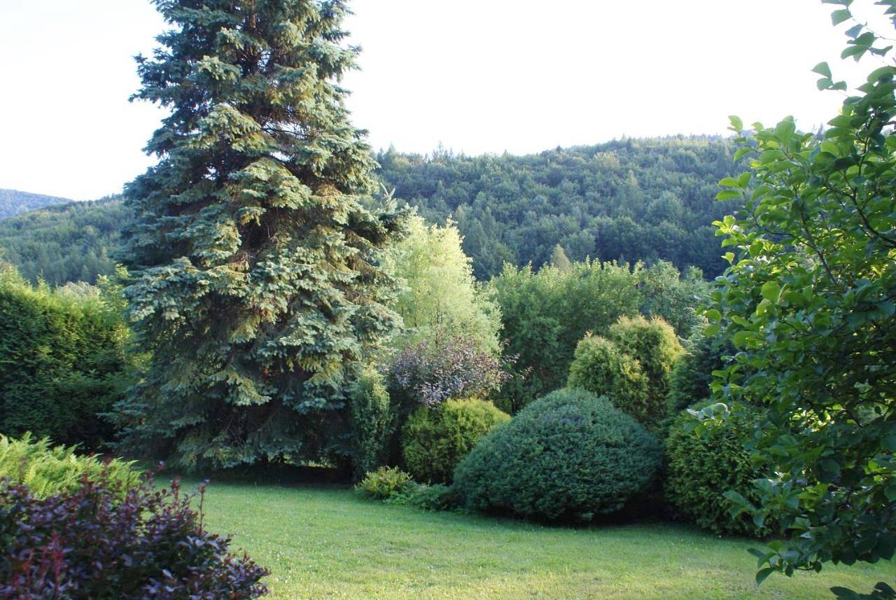 Cały apartament, Willa Kasztelańska in Porąbka, Śląsk