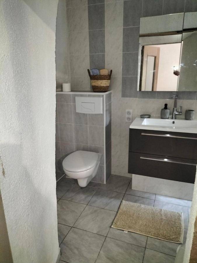 Gîte pour 4 personnes, avec vue, animaux acceptés à Saint-Pons-de-Thomières - 3