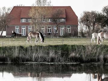 Ferienwohnung für 4 Personen, mit Terrasse und Garten, kinderfreundlich in Vollerwiek