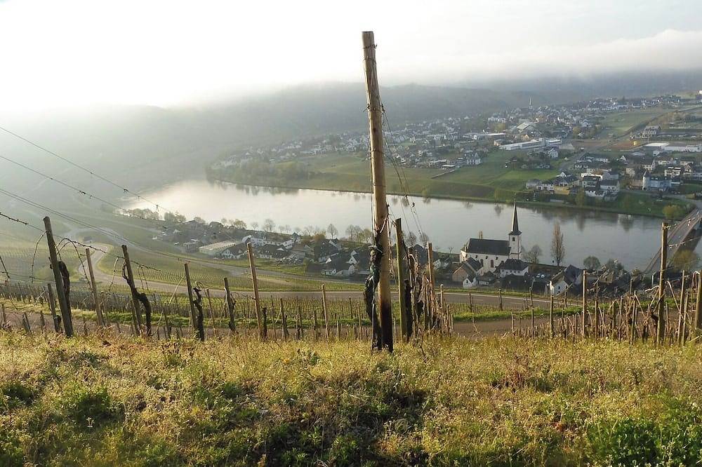 Geheel appartement, Vacation apartment with wonderful view of the Moselle, quiet location, garden, parking, wifi in Piesport, Bernkastel-Kues en Omgeving