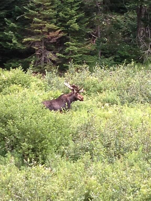 Alpine Village - Ihre beste Ferienwohnung! in Woodstock (NH), Franconia Notch