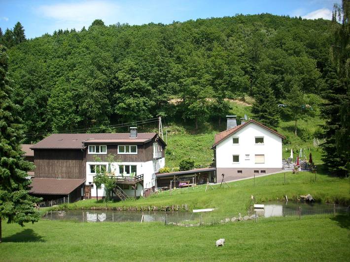 Ferienwohnung für 3 Personen, mit Balkon und Garten in Lennestadt - 3