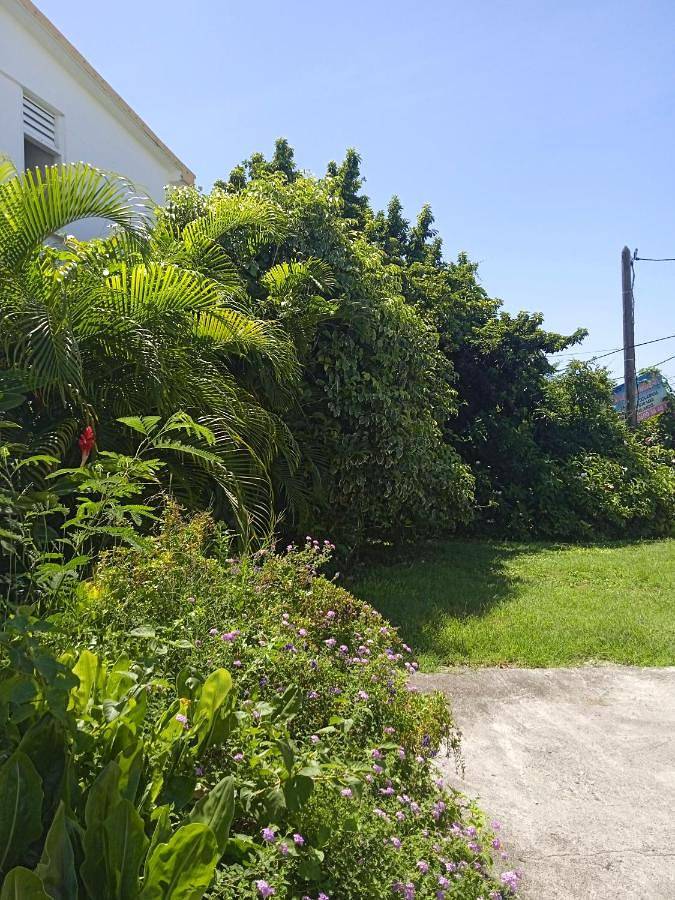 Gîte pour 2 personnes, avec jardin ainsi que vue et balcon dans Plage des Salines - 4