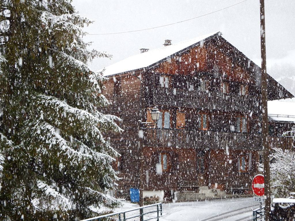 Appartement entier, La Fraîcheur de la Montagne 4 personnes in La Chapelle-d'Abondance, Les Portes du Soleil