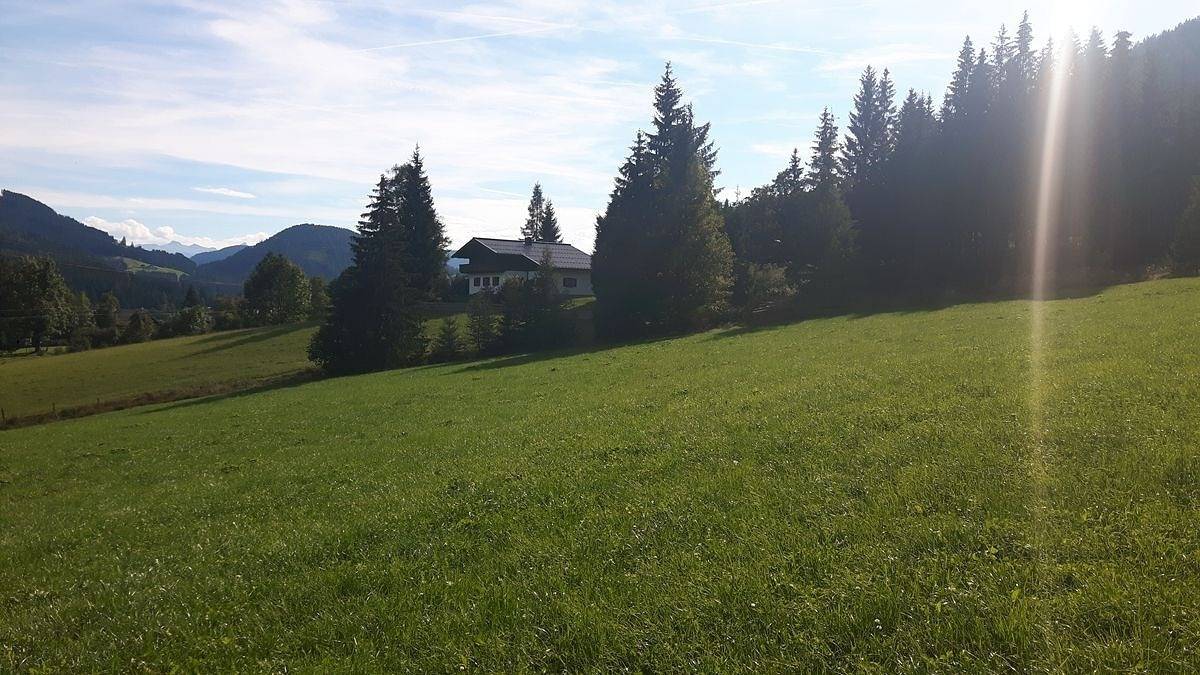 Almhaus Grubhof in Sankt Martin am Tennengebirge, Tennengau