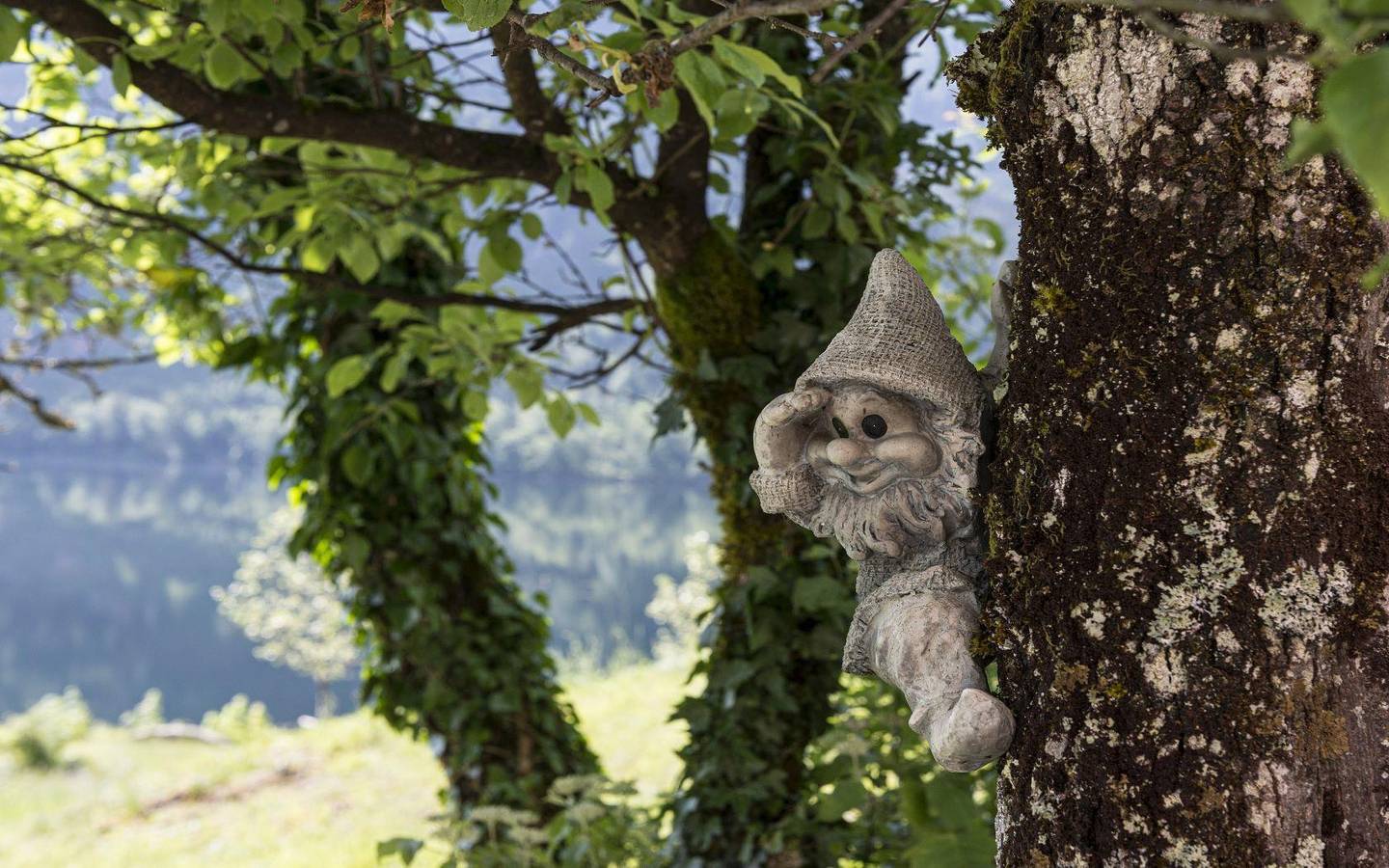 Ferienhaus in Grundlsee, Liezen und Umgebung