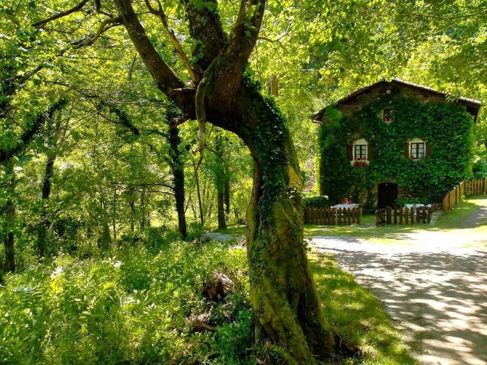 Casa de vacaciones para 8 personas, con vistas y jardín, Se admiten mascotas - 1