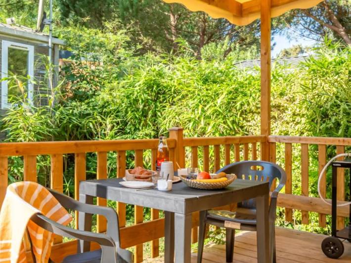 Mobil home pour 2 personnes, avec piscine et terrasse, animaux acceptés à Rivedoux-Plage - 2