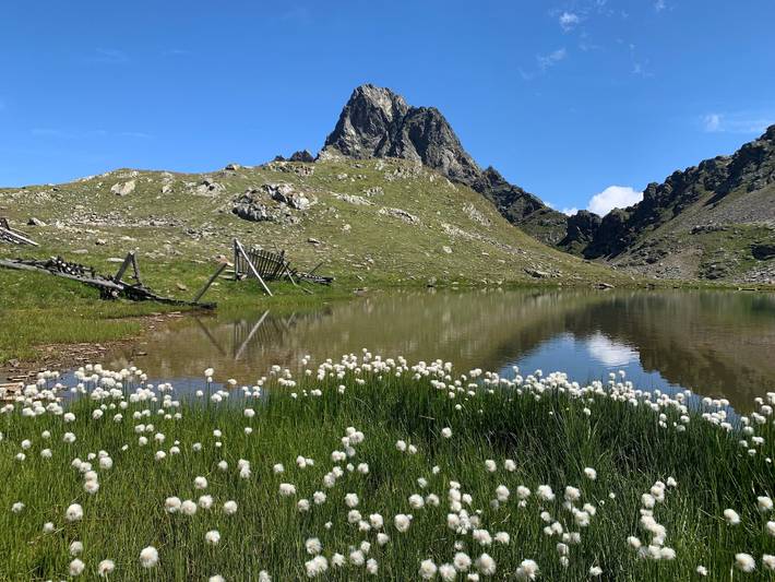 Ferienwohnung für 3 Personen, mit Garten und Balkon in Matrei in Osttirol - 2