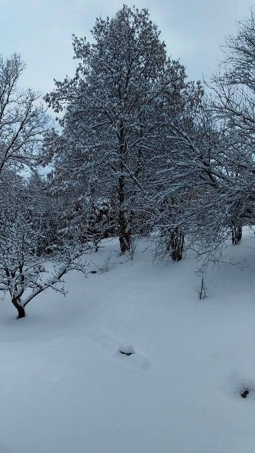 Gîte pour 4 personnes, avec jardin et vue à Saint-Jean-Saint-Nicolas - 3