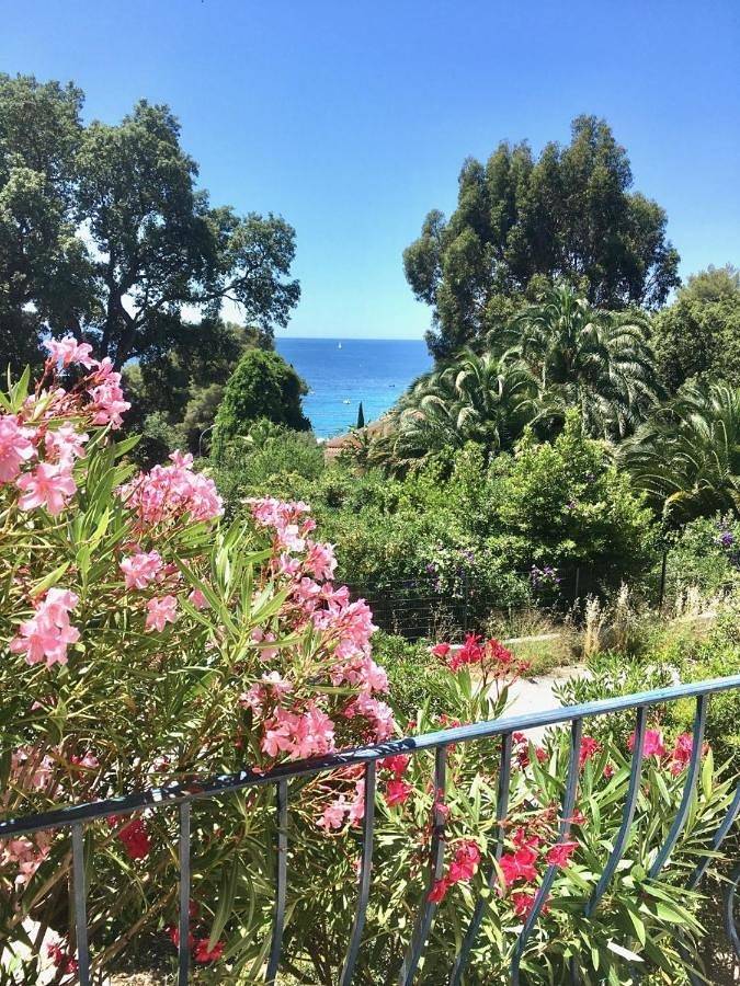 Villa pour 8 personnes, avec jardin et vue à Rayol-Canadel-sur-Mer - 3