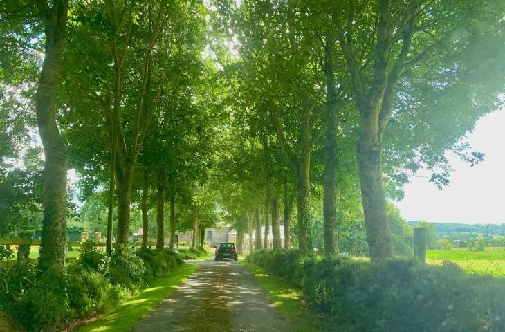Location de vacances pour 9 personnes, avec Terrasse ainsi que Jardin et Vue à Tirepied - 4