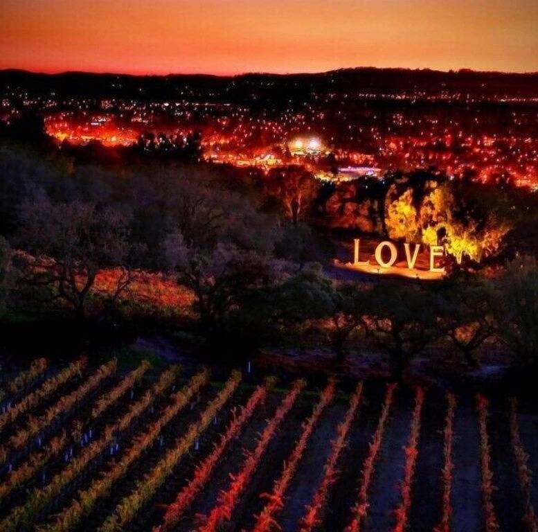 Quiet Winter Retreat in Santa Rosa Wine Country in Santa Rosa, California North Coast