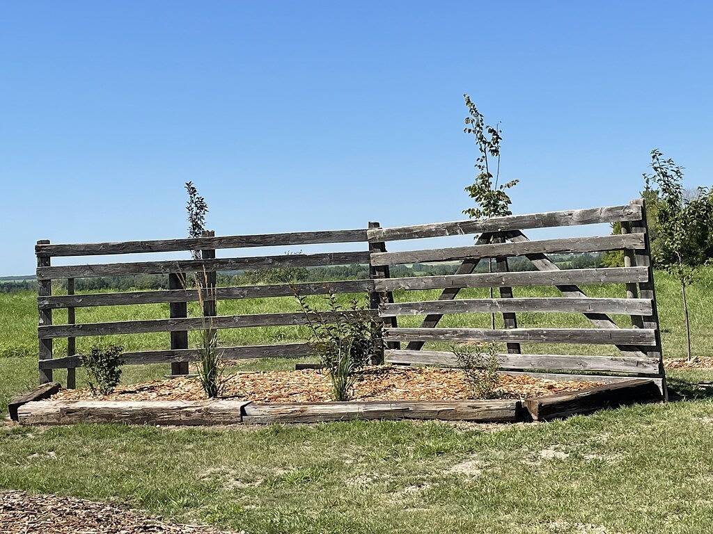 Whispering Winds Cabin - cozy double loft cabin in Alberta