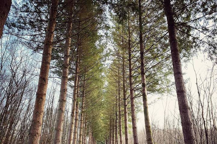 Location de vacances pour 8 personnes, avec jardin et terrasse à Vannes-sur-Cosson