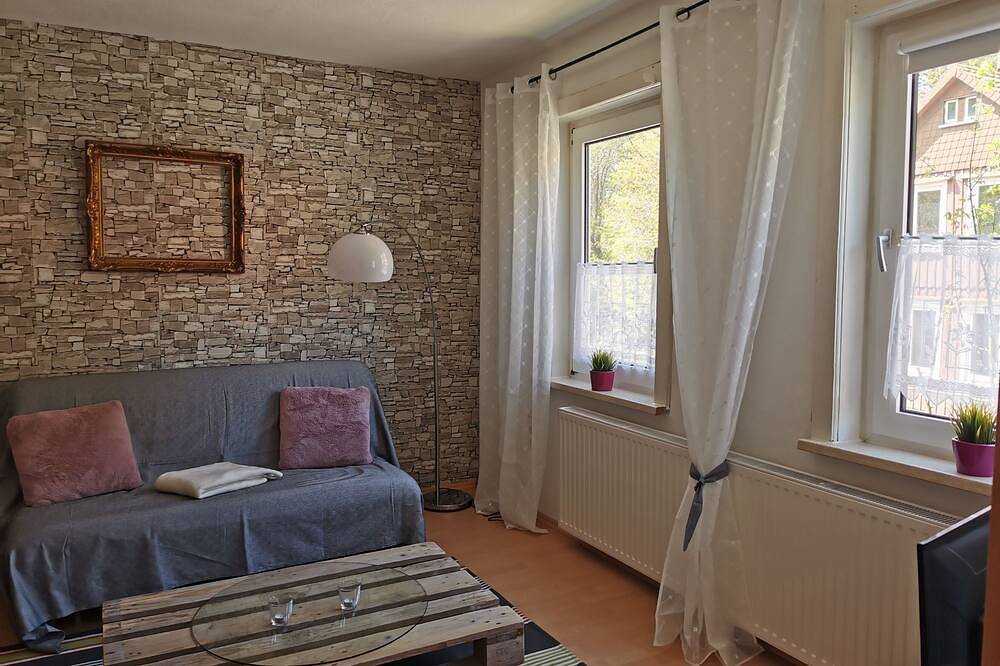 Ganze Wohnung, Moderne Ferienwohnung mit Wlan im historischen Bergmannshaus in Sankt Andreasberg, Braunlage