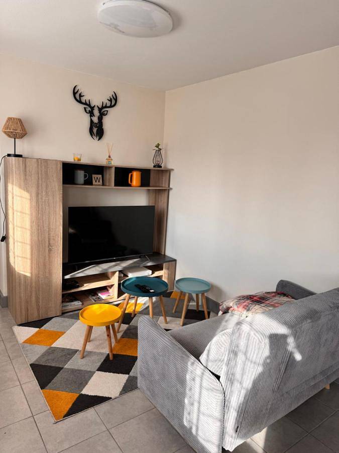 One-Bedroom House in La Ferté-Saint-Aubin, Sologne