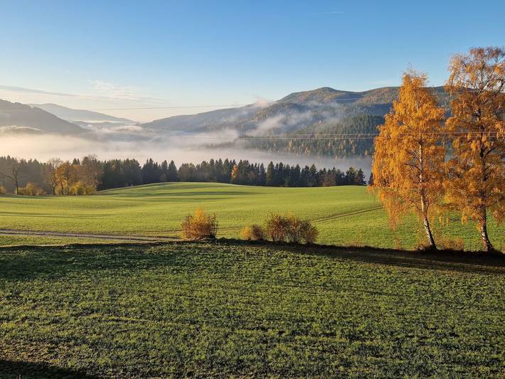Die Jagamühl - Ferienhaus "Die Jagamühl" in Fischbach, Steirerland