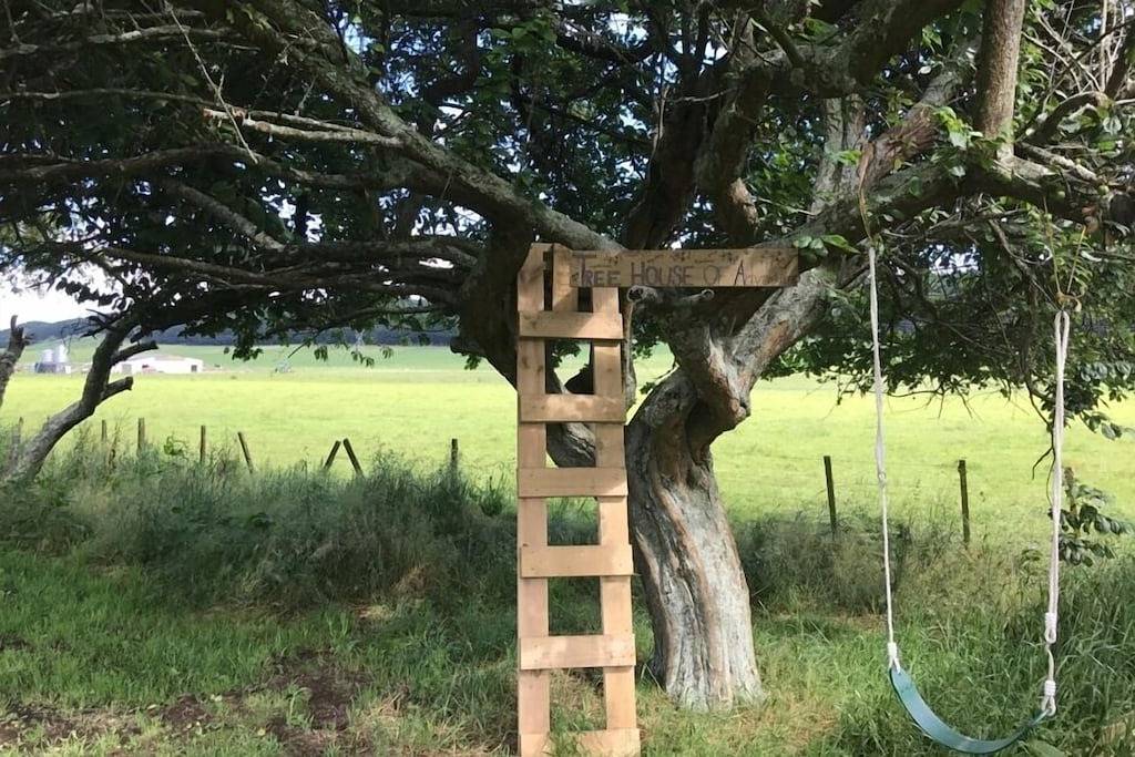 Lake Atiamuri 800 m von der Bootsrampe, dem Wakeboard und dem Waikato Trail entfernt in Taupo District