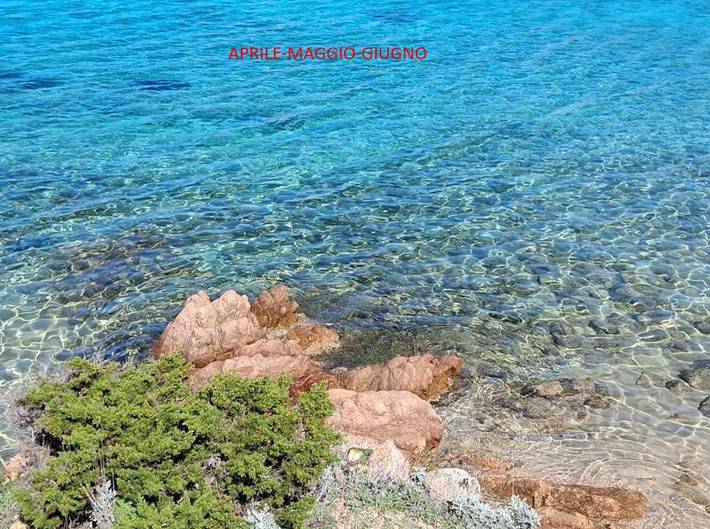 Maison d’hôte pour 4 personnes, avec jardin ainsi que terrasse et vue, animaux acceptés dans La Maddalena - 3