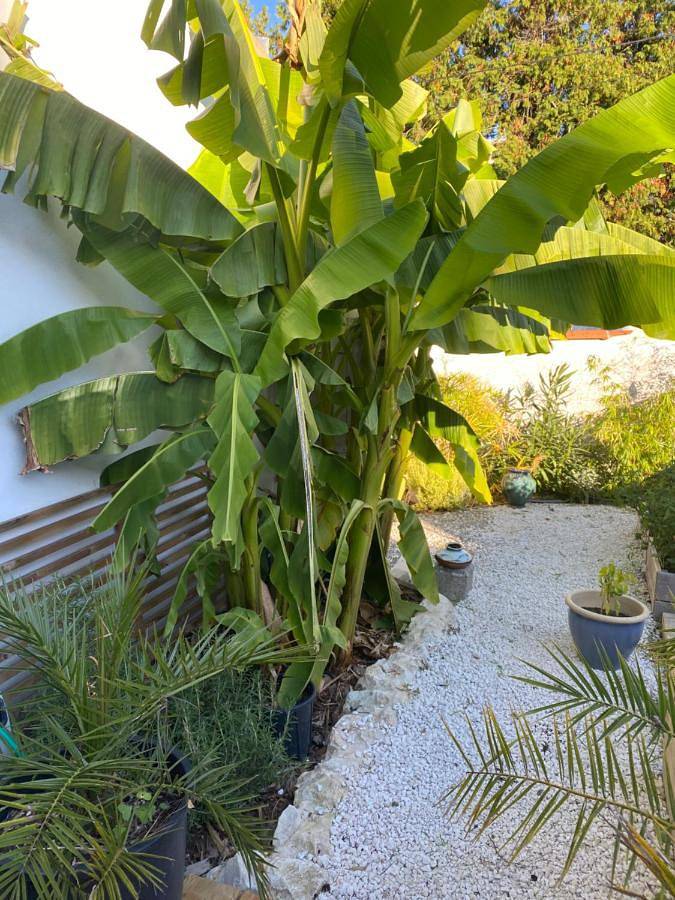 Chambre d’hôte pour 2 personnes, avec terrasse ainsi que jardin et vue à La Rochelle - 4