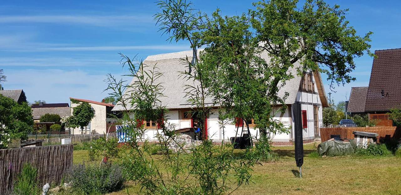 Ganze Wohnung, Fischerhus Lütt Hauke 75 qm Annerose in Altwarp, Vorpommern Greifswald