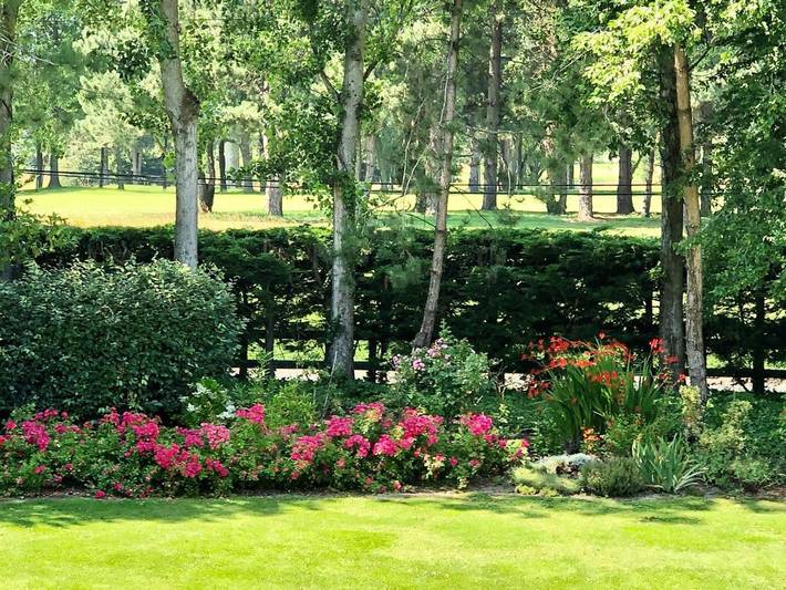 Location de vacances pour 6 personnes, avec vue et jardin, animaux acceptés à Octeville-sur-Mer - 4