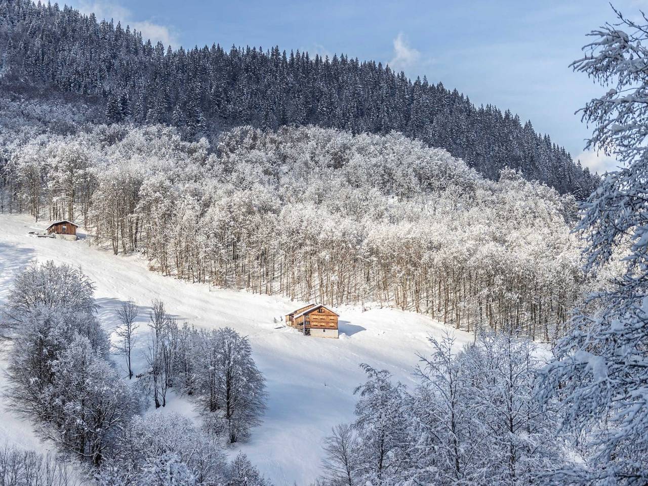 Ganze Ferienwohnung, Wilhelm Veronika - Ferienwohnung 2 Pers. in Au, Bregenzerwald