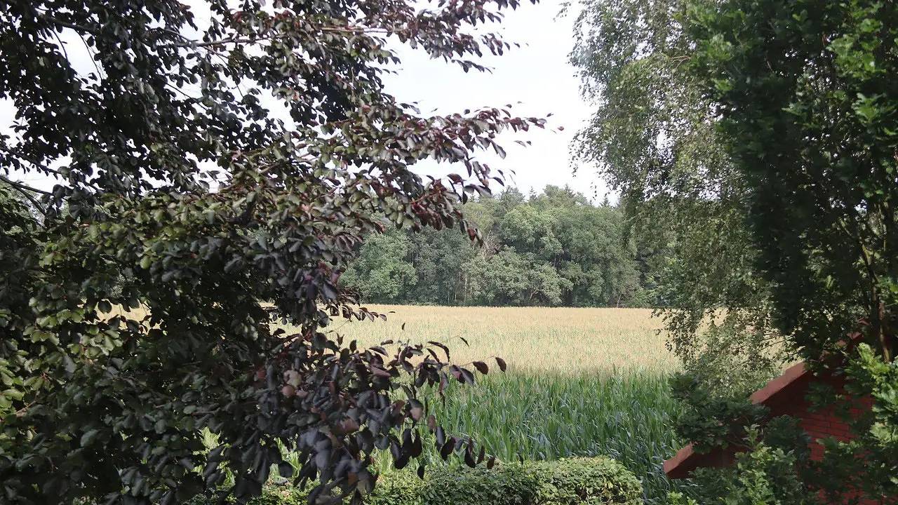 Ganze Ferienwohnung, Ferienwohnung für 2 Personen (24 m²) in Neuenkirchen in Neuenkirchen (Lüneburger Heide), Landkreis Heidekreis
