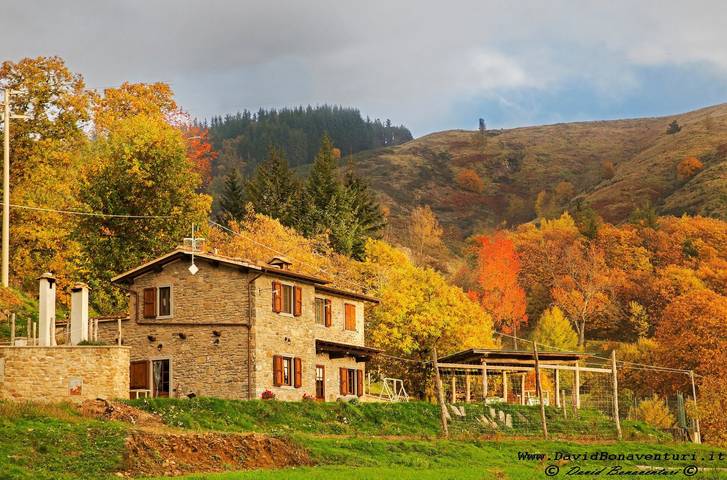 Casa 'Marisa' – Prato Fiorito with Mountain View, Shared Pool & Private Garden in Bagni di Lucca, Lucca Province