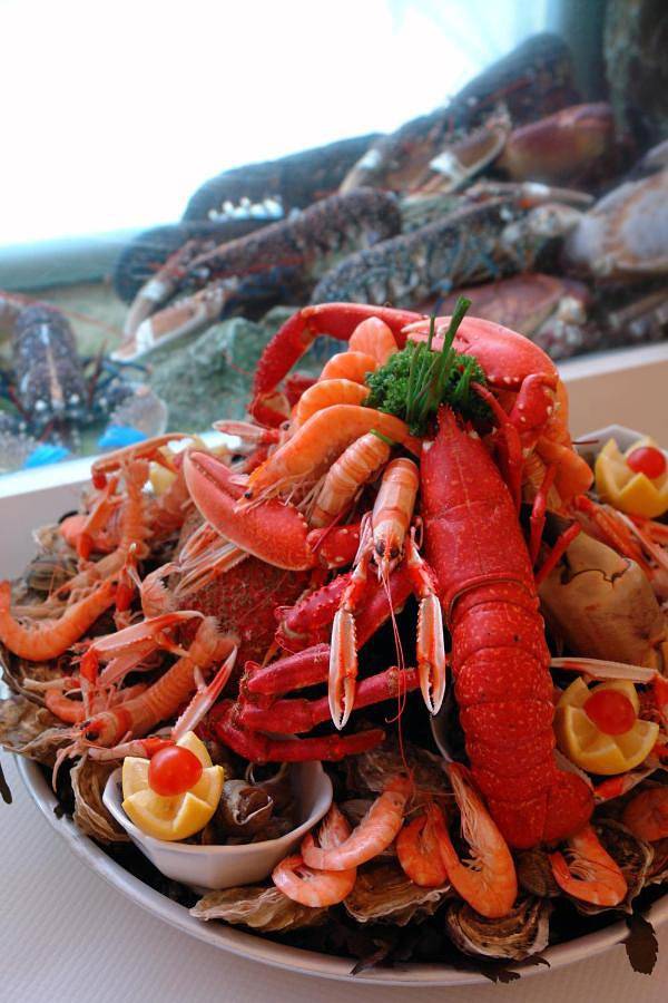 Logis Hôtel Les Chardons Bleus Restaurant Le Bistrot De La Mer in Roscoff, Ceinture Dorée